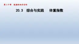 2024年八下数学第20章数据的初步分析20.3综合与实践体重指数课件（沪科版）