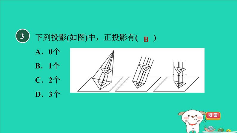 2024九年级数学下册第32章投影与视图32.1投影2正投影习题课件新版冀教版04