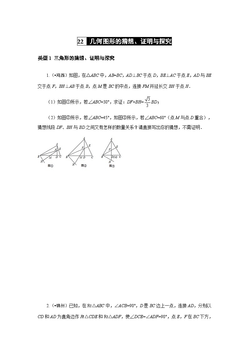 2023年初中数学中考专项分类强化训练(含答案):22 几何图形的猜想、证明与探究(通用版)第1页