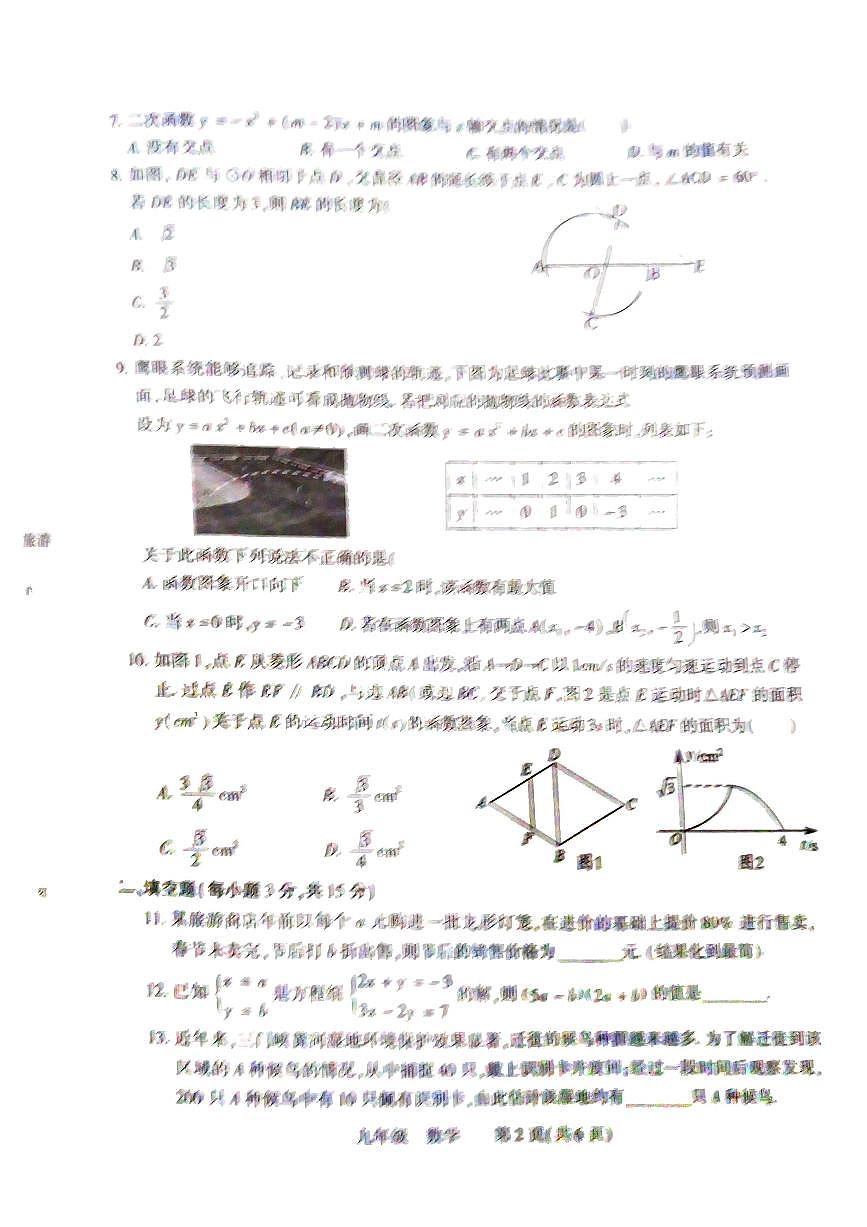 2024年河南省洛陽市伊川縣九年級中考一模數(shù)學試題第2頁