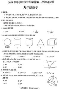 2023-2024学年河南省平顶山市九年级中招一模数学试卷及参考答案