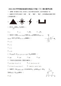 陕西省咸阳市乾县2022-2023学年八年级下学期期末考试数学试卷(含解析)