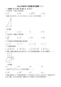 湖北省黄石市2023-2024学年八年级下学期月考数学试题