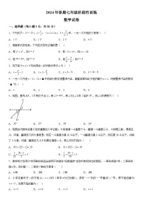 河南省南阳市镇平县2023-2024学年七年级下学期3月月考数学试题（含解析）