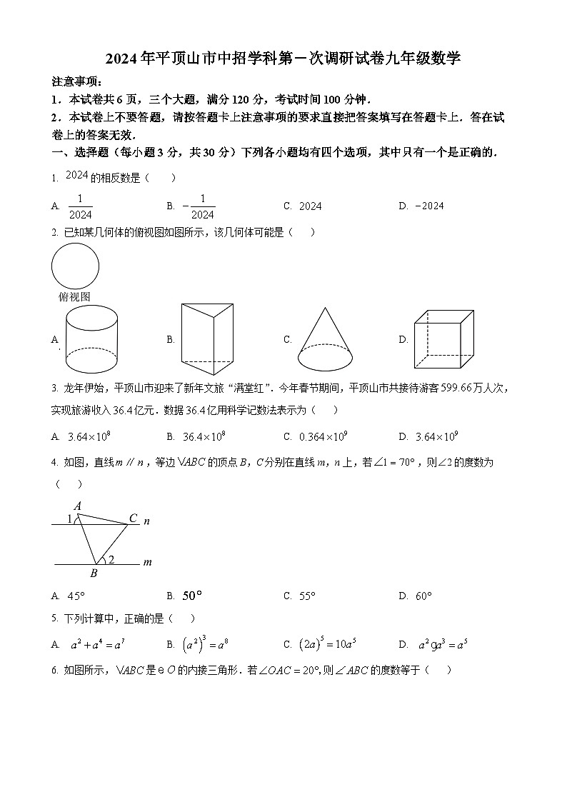 2024年河南省平顶山中考数学一模模拟试题(原卷版+解析版)01