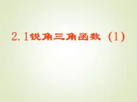 2.1  锐角三角函数（1） 教案+课件