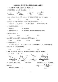 广东省珠海市第九中学2023-2024学年七年级下学期4月月考数学试题