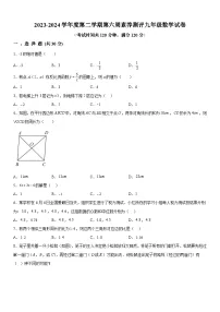 广东省茂名市高州市高州四校联考2023-2024学年九年级下册月考数学试题（含解析）
