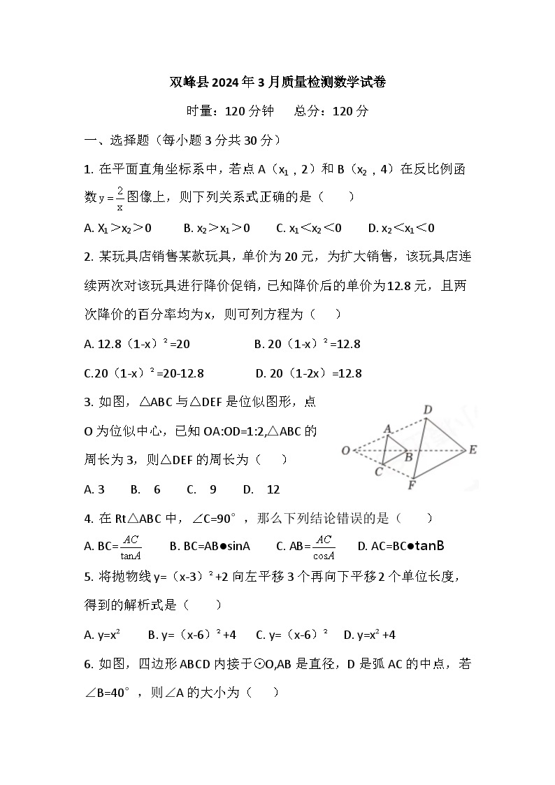 湖南省娄底市双峰县2023－2024学年九年级下学期3月质量检测数学试卷01