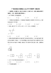 2024年广东省清远市清城区中考二模数学试题（含解析）