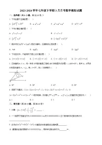 江苏省南京市玄武区科利华中学2023-2024学年七年级下学期3月月考数学试题（原卷版+解析版）