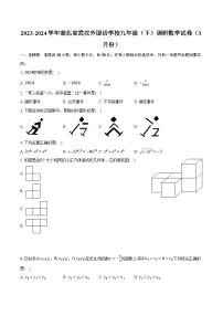 2023-2024学年湖北省武汉外国语学校九年级(下)调研数学试卷(3月份)(含解析)