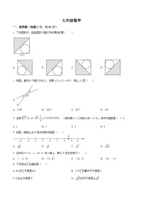 河南省信阳市浉河区浉河中学2023-2024学年七年级下学期3月月考数学试题（原卷版+解析版）