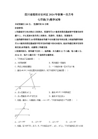 四川省绵阳市安州区2023-2024学年七年级下册4月月考数学试题（含解析）