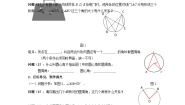 北师大版九年级下册第三章 圆4 圆周角和圆心角的关系导学案