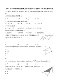 2022-2023学年新疆乌鲁木齐市兵团一中八年级(下)期中数学试卷(含解析)