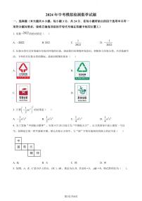 2024年江苏盐城大丰区九年级数学中考模拟试题+答案