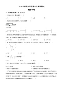 2024年河南省南阳市镇平县中考一模数学模拟试题(原卷版+解析版)