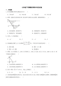 河北省石家庄2024年七年级下学期数学期中考试试卷及答案