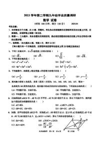2024上海市青浦区初三二模数学试卷