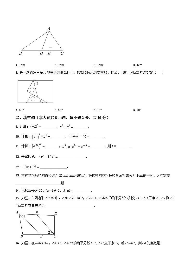 江苏省常州市溧阳市2023-2024学年七年级下学期期中数学模拟试题(无答案)第2页