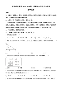 广东省深圳育才教育集团2023-2024学年七年级下学期期中数学试题(原卷版+解析版)