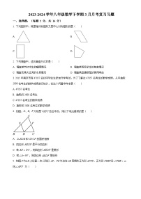 江苏省南京市江宁区南京东山外国语学校2023-2024学年八年级下学期3月月考数学试题（原卷版+解析版）