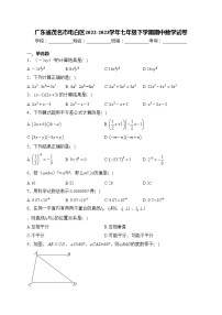 广东省茂名市电白区2022-2023学年七年级下学期期中数学试卷(含答案)