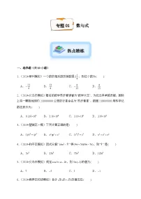 2024年中考数学复习专项试题--01 数与式