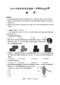 2024年河南省濮阳市中考一模数学试题