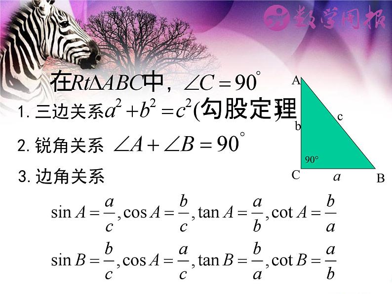 24.4解直角三角形(第2课时)课件PPT第3页