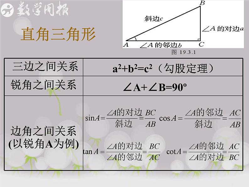 24.4解直角三角形(第1课时)课件PPT第3页
