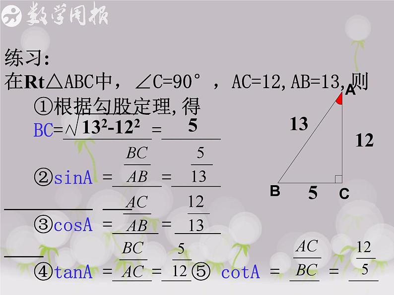 24.4解直角三角形(第1课时)课件PPT第4页
