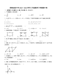 安徽省淮南市淮南实验中学2023-2024学年八年级下学期期中数学试题(含答案)