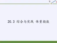 沪科版数学八年级下册 20.3 综合与实践 体重指数(4)-课件