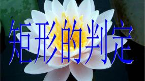 数学八年级下册19.3 矩形 菱形 正方形课文配套课件ppt