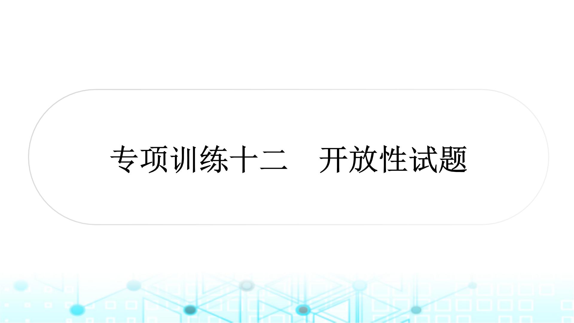 中考数学复习专项训练十二开放性试题课件