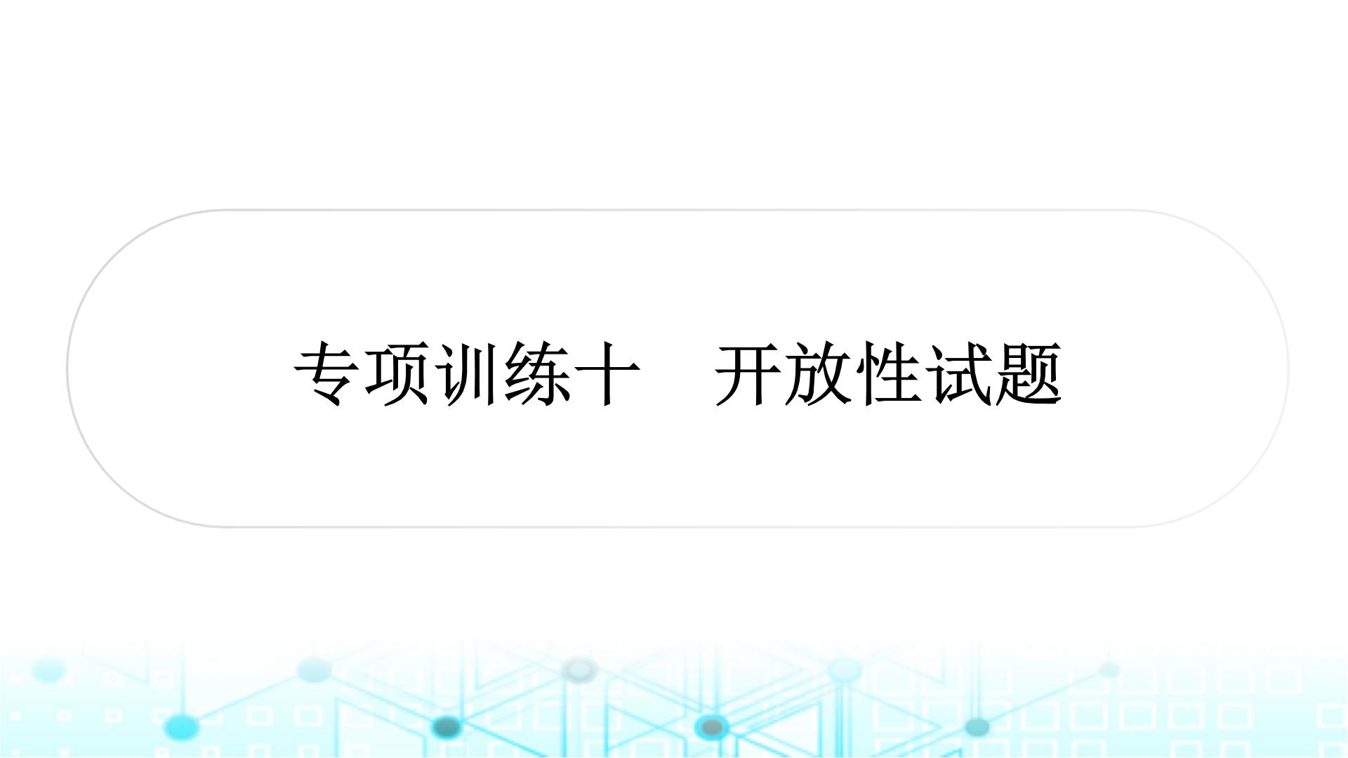 中考数学复习专项训练十开放性试题课件