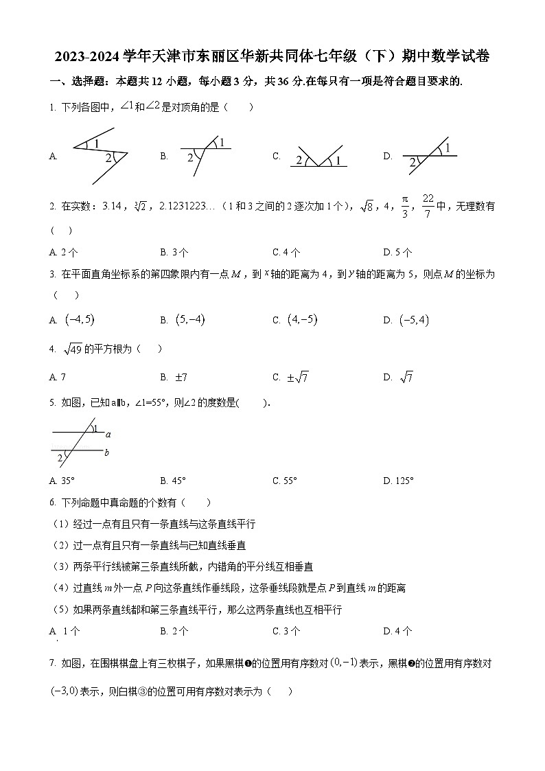 天津市东丽区华新共同体2023-2024学年七年级下学期期中数学试题(原卷版)第1页