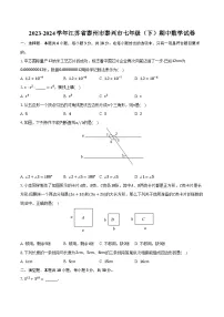 2023-2024学年江苏省泰州市泰兴市七年级（下）期中数学试卷(含解析）