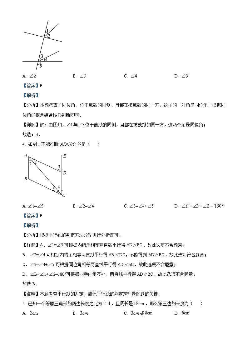 上海市普陀区2023-2024学年七年级下学期期中数学试题(原卷版+解析版)02