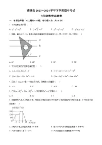 江西省抚州市南城县2023-2024学年七年级下学期期中数学试题（原卷版+解析版）