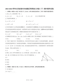 2023-2024学年江苏省泰州市高港区等两地七年级(下)期中数学试卷+答案解析