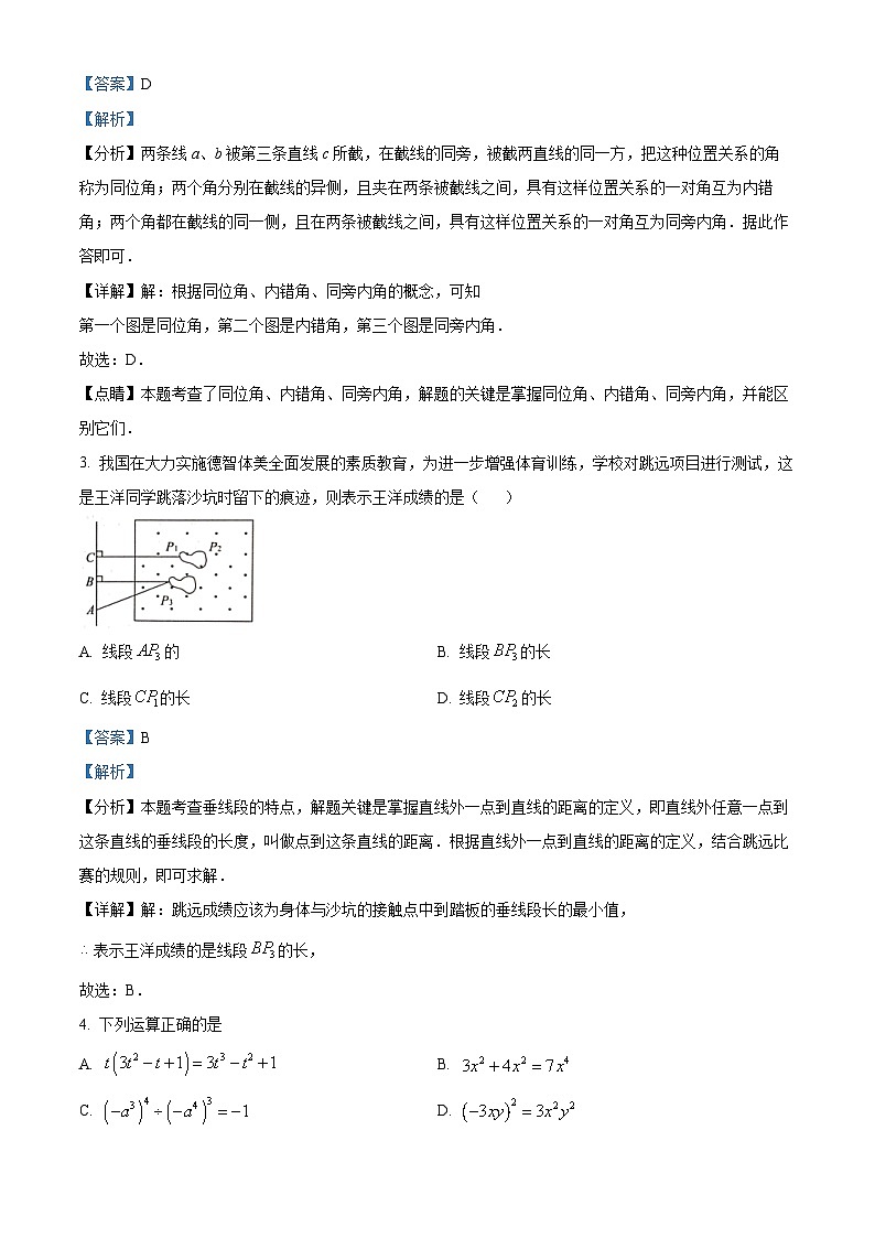 山东省聊城市莘县2023-2024学年七年级下学期期中数学试题(原卷版+解析版)02