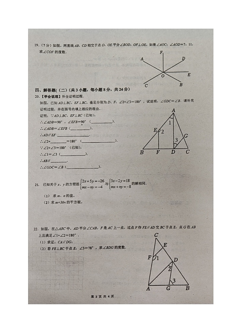 广东省中山市第一中学教育集团2023-2024学年七年级下学期期中考试数学试题第3页