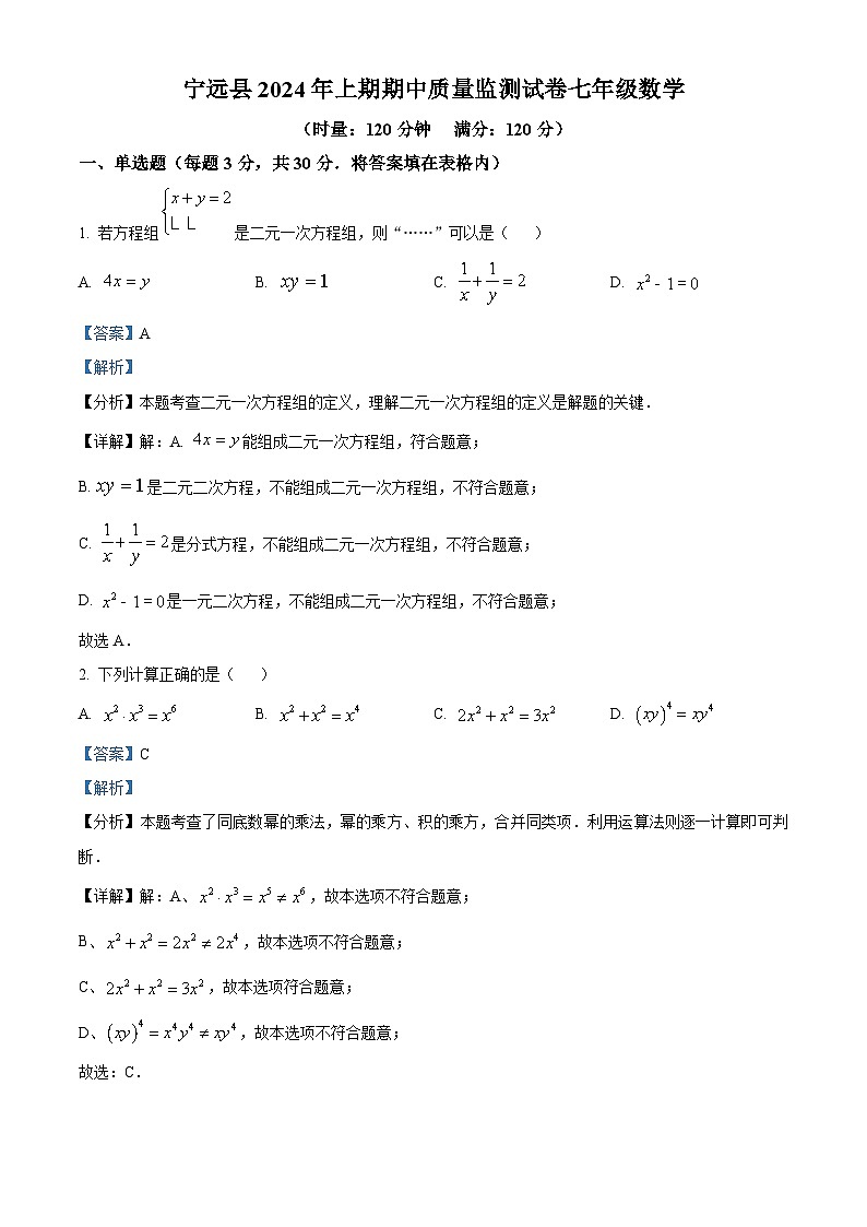 湖南省永州市宁远县2023-2024学年七年级下学期期中数学试题(解析版)第1页