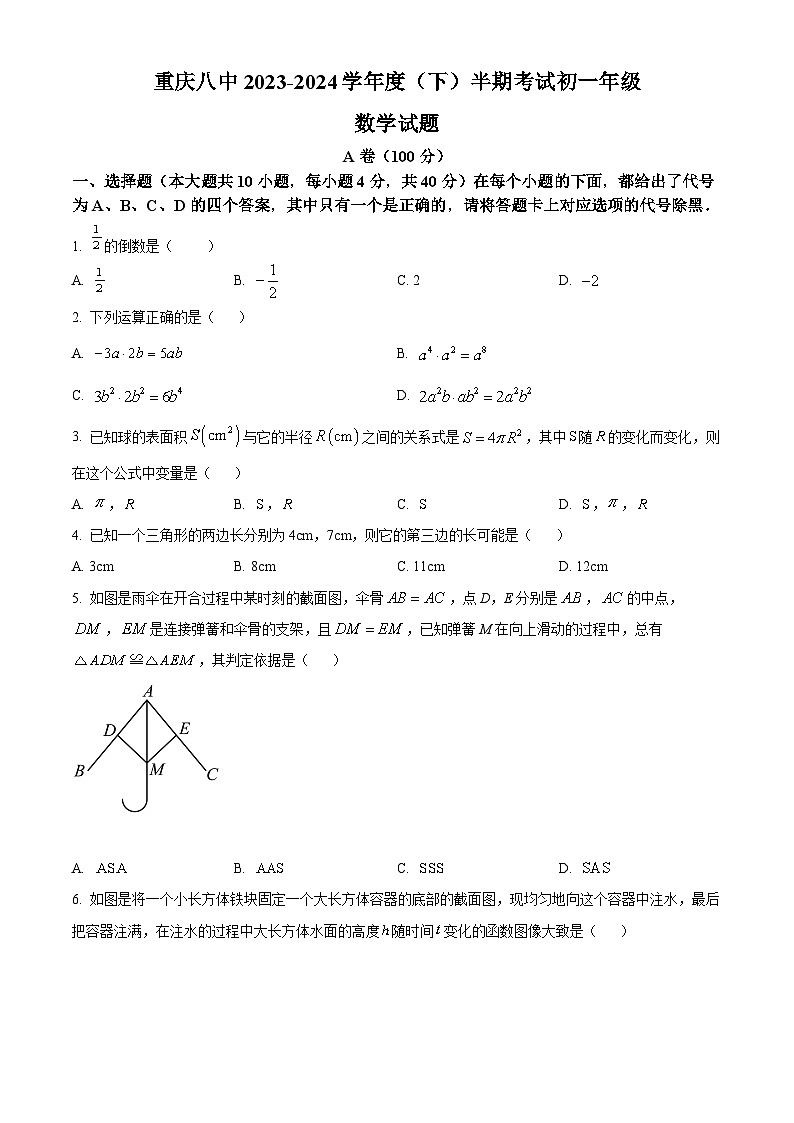 重庆市第八中学校2023-2024学年七年级下学期期中考试数学试题 (原卷版)第1页