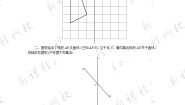 初中4 利用轴对称进行设计巩固练习