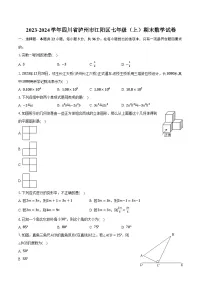 2023-2024学年四川省泸州市江阳区七年级（上）期末数学试卷（含解析）