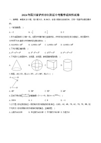 2024年四川省瀘州市江陽區(qū)中考數(shù)學(xué)適應(yīng)性試卷（含解析）